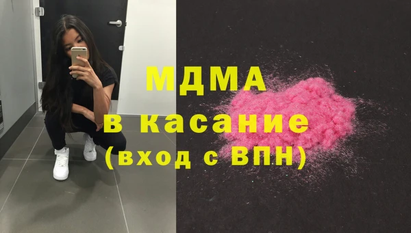 индика Волоколамск