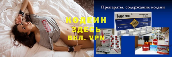 индика Волоколамск