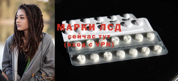 индика Волоколамск