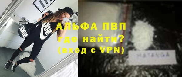 индика Волоколамск