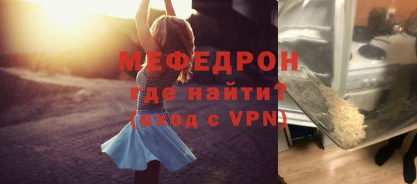 индика Волоколамск