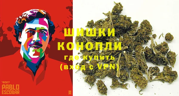 индика Волоколамск