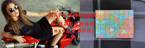 индика Волоколамск
