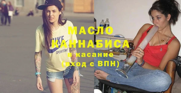 индика Волоколамск